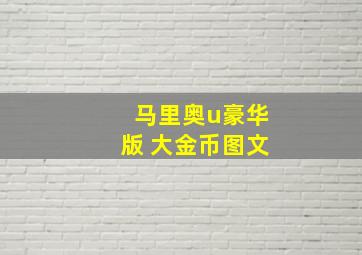 马里奥u豪华版 大金币图文